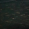 夜のカマス釣り〜脂ノリノリ！