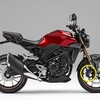 「CB250R」Fブレーキキャリパーの清掃とパッドの交換方法
