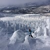 【絶景！山形蔵王温泉スキー場の樹氷】