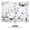 非常階段ニューアルバム“咲いた花がひとつになればよい”発売記念ライブ