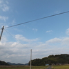 カラフトワシ 2011