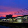 2015/7/2　半夏生の夕景