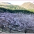 パステルカラーの風景