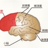 職場にいる自由そうに見える人たち