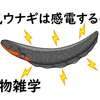 【生き物雑学】この動物たちの事をどれだけ知ってますか？おもろか雑学【豆知識 トリビア 面白い】