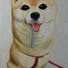 今週のギャラリーは川崎タカオさんの絵本原画展！！！！！可愛いね！！！！！！