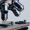 論文ご紹介シリーズ　人間の脳細胞を用いた「生物学的コンピュータ」の開発