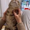 あんころもちの成長記録162