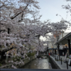 2022日本里帰り日記⑬：京都でメーン！
