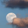 満月