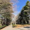 年末のつくば植物園2024