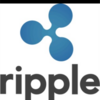 【 Ripple（リップル）のXRPの消滅枚数（破棄枚数） 】最新速報 No.3