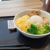 405【赤っぽい】吉野家を毎日喰らいます