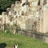 【姫路の風景】秋の名古山墓地・その４：お墓のお墓