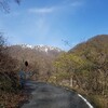 久しぶりの山菜(コゴミ)採り…、たくさん採れた？
