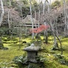 京都探訪（常寂光寺、祇王寺、滝口寺）