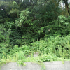 岩屋古墳（付近） 福岡県田川郡糸田町鼡ケ池