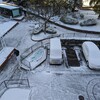 大雪で会社休み