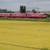 【2013/09/11】空知の田んぼで復活鉄