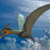 チリで翼竜フライング・ドラゴンの化石が発見されました