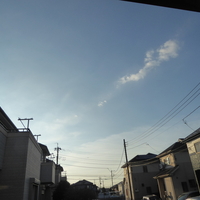 今日は４０℃を超えるかも😰とぎっくり腰再燃(T_T)