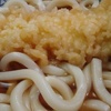 いか天ぷら　うどん