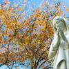 優しい秋　～聖母像（カトリック山手教会）