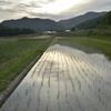 遥かなる情景