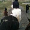 []そういえば熊本に行った時馬に乗ったとです。
