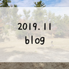 ２０１９年１１月ブログまとめ｜もう年末とか信じたくない