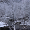 飛騨の冬景色　【久しぶりの雪景色】　Vol 2