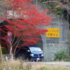 秋の鯖街道(若狭街道)をゆく　花折峠