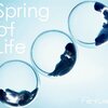  Perfume「Spring of Life」ウェブインタビューまとめ