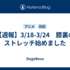 【週報】3/18-3/24　膝裏のストレッチ始めました