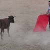 スペイン牛追い祭り－闘牛場編