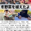 2022年11月7日 冬野菜植えたよ