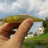 でも、忙しい・・・。