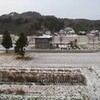 初雪