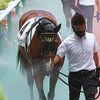 １６日に帰厩済。２戦目は来月４日の小倉・芝１２００ｍへ。鞍上には坂井瑠Ｊ。☆ペースセッティング