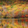 紅葉探訪　長野県編