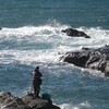 師走の磯釣り