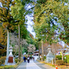 高麗神社へ