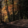 晩秋の文殊山に2歳の子供と登山〜初心者向けの紅葉の山〜（2022年11月、福井県）