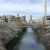 【コーヒーブレイク】都内有数の桜の名所「目黒川の桜」散策。