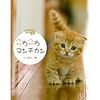 マンチカンはやっぱりかわいい。