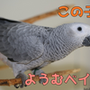 なっちゃん