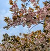 オロロンラインを札幌方面へ