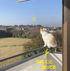 もう三月なんだ