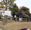 周南市徳山動物園（７）歴史碑と記念物を巡る（山口県周南市徳山５８４６）