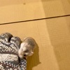 最近の趣味は【前編】